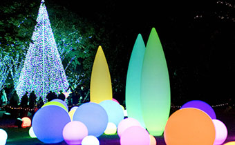 Holiday light up ornament display