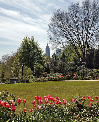 atlanta botanical garden